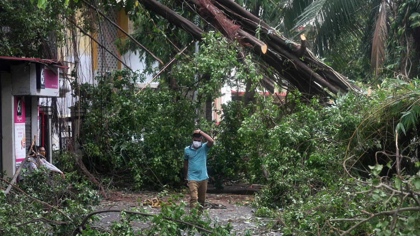 Ein Mann in Indien geht an einem umgestürzten Baum vorbei: Der Wirbelsturm "Tauktae" hat den Westen des Landes verwüstet.
