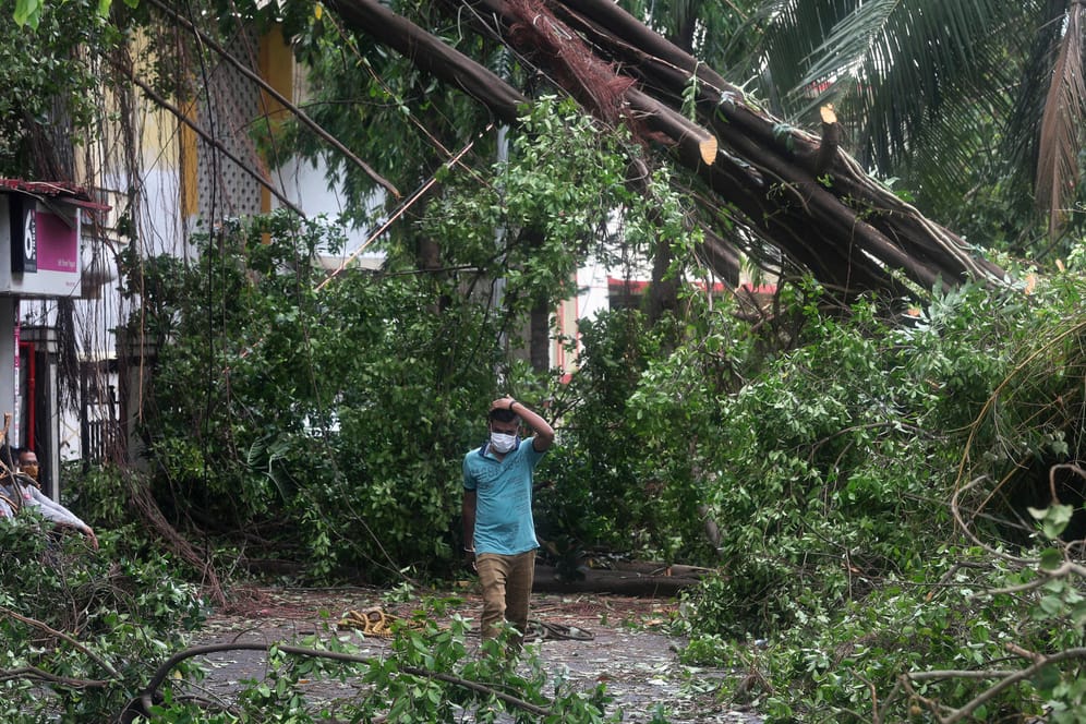 Ein Mann in Indien geht an einem umgestürzten Baum vorbei: Der Wirbelsturm "Tauktae" hat den Westen des Landes verwüstet.
