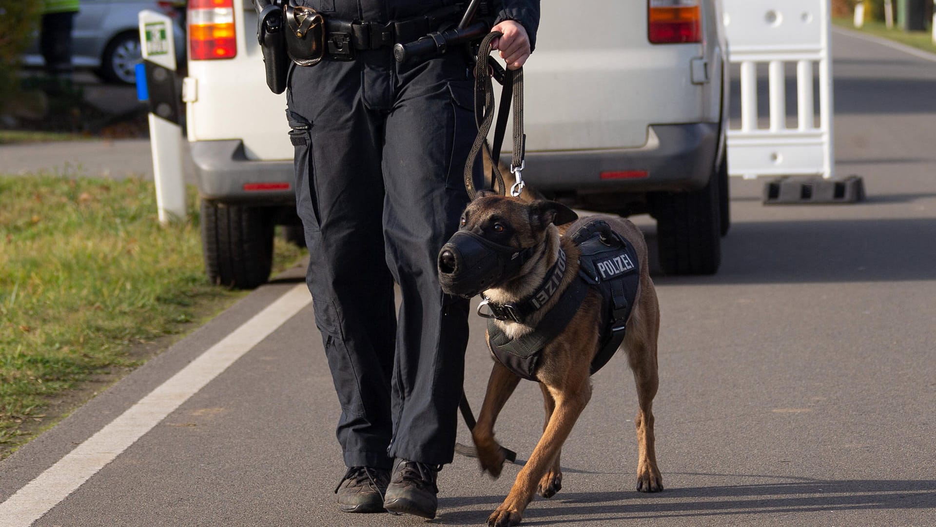 Ein Diensthund der Polizei (Symbolbild): In Essen hat "Teddy" einen mutmaßlichen Drogenschmuggler geschnappt. Ein Diensthund der Polizei (Symbolbild): In Essen hat "Teddy" einen mutmaßlichen Drogenschmuggler geschnappt.