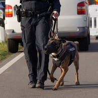 Ein Diensthund der Polizei (Symbolbild): In Essen hat "Teddy" einen mutmaßlichen Drogenschmuggler geschnappt.