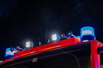 Blaulichter eines Feuerwehrwagens: Ein Brand bei einem Fleischwarenbetrieb hat im Schwarzwald einen Großeinsatz ausgelöst (Symbolfoto).