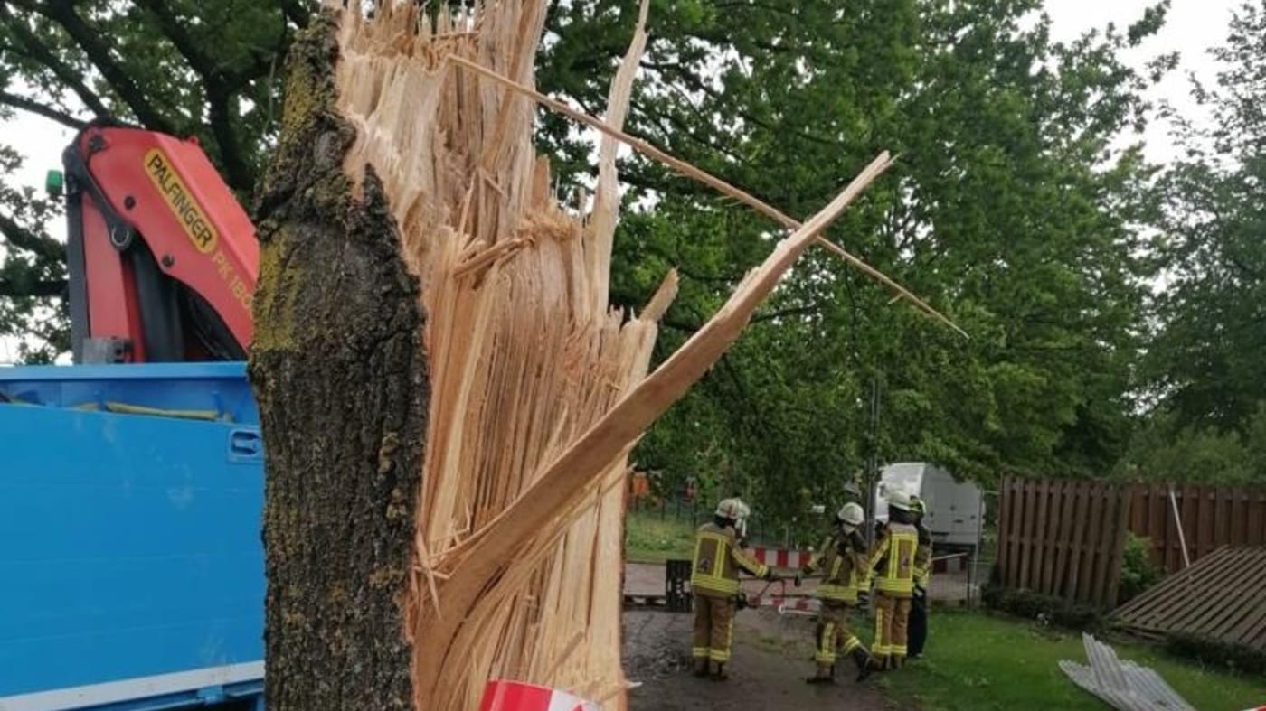 Die Feuerwehr bei der Arbeit: Der Tornado entwurzelte zehn Bäume, beschädigte 50 weitere.