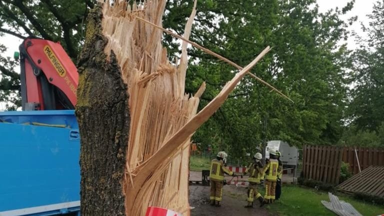 Die Feuerwehr bei der Arbeit: Der Tornado entwurzelte zehn Bäume, beschädigte 50 weitere.