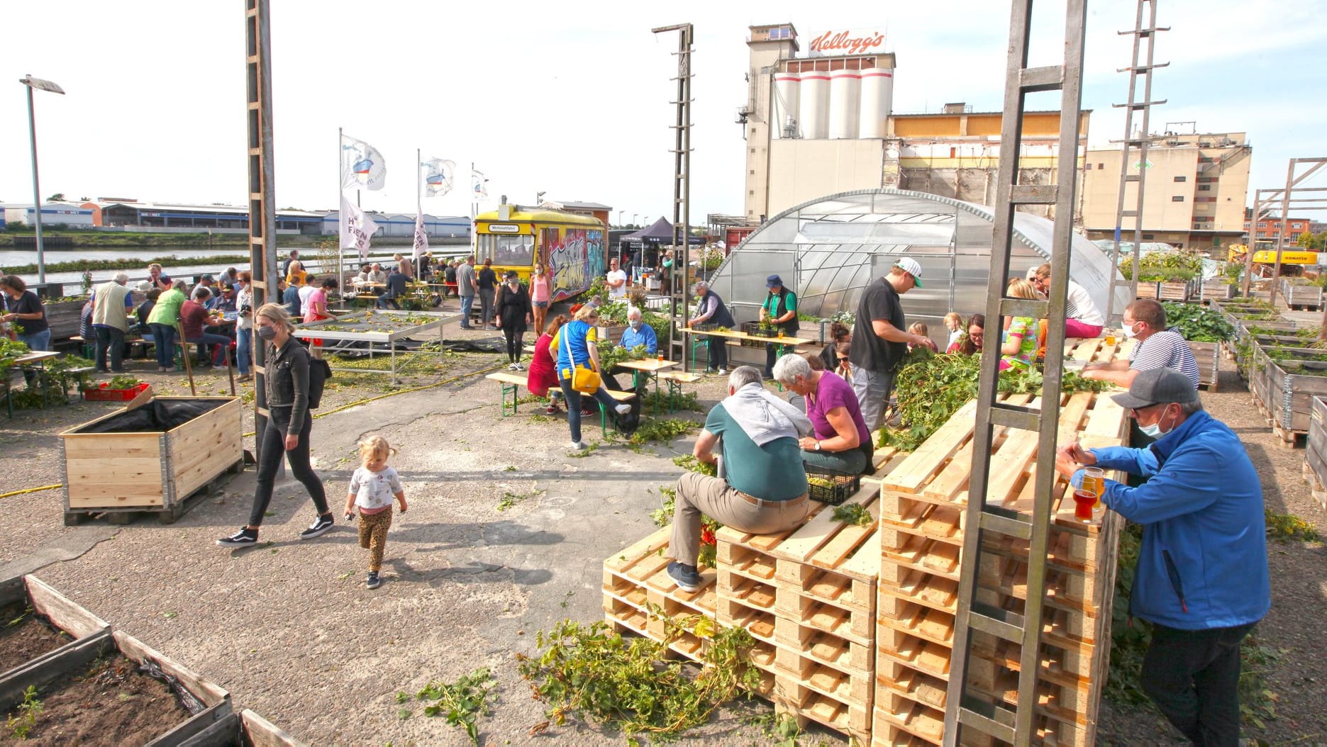 Menschen arbeiten zusammen in einem Stadtgarten: Die Nutzung von urbanen Flächen zum Anbau von Obst und Gemüse wird immer beliebter.