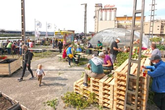 Menschen arbeiten zusammen in einem Stadtgarten: Die Nutzung von urbanen Flächen zum Anbau von Obst und Gemüse wird immer beliebter.