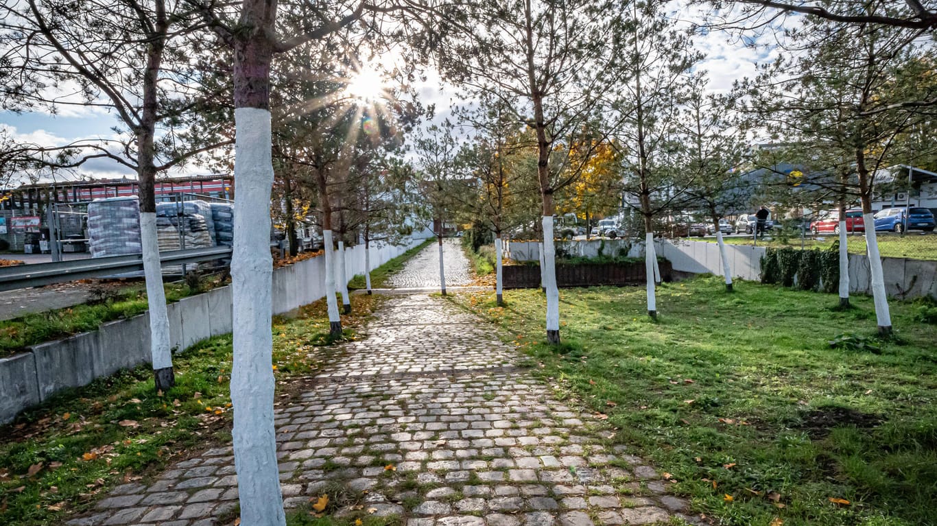 Moabit Gedenkort Güterbahnhof: 20 weiß gestrichene Bäume markieren den Gedenkort.