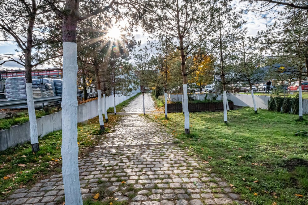 Moabit Gedenkort Güterbahnhof: 20 weiß gestrichene Bäume markieren den Gedenkort.