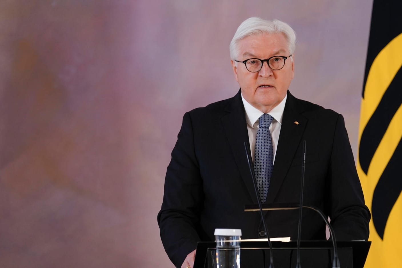 Bundespräsident Frank-Walter Steinmeier: "Ich trete nicht aus Bequemlichkeit an."