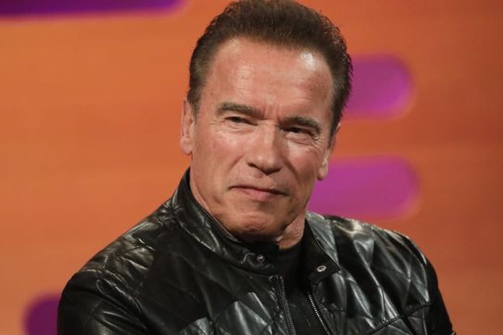 Arnold Schwarzenegger freut sich auf den Kinosommer.