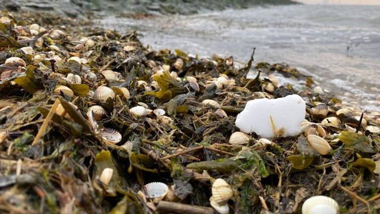 Greenpeace meldet Paraffin-Funde an Nordseestränden