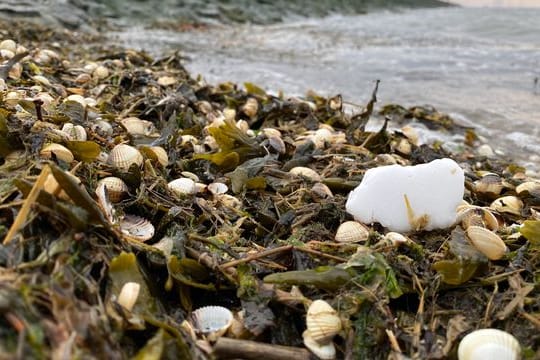 Greenpeace meldet Paraffin-Funde an Nordseestränden