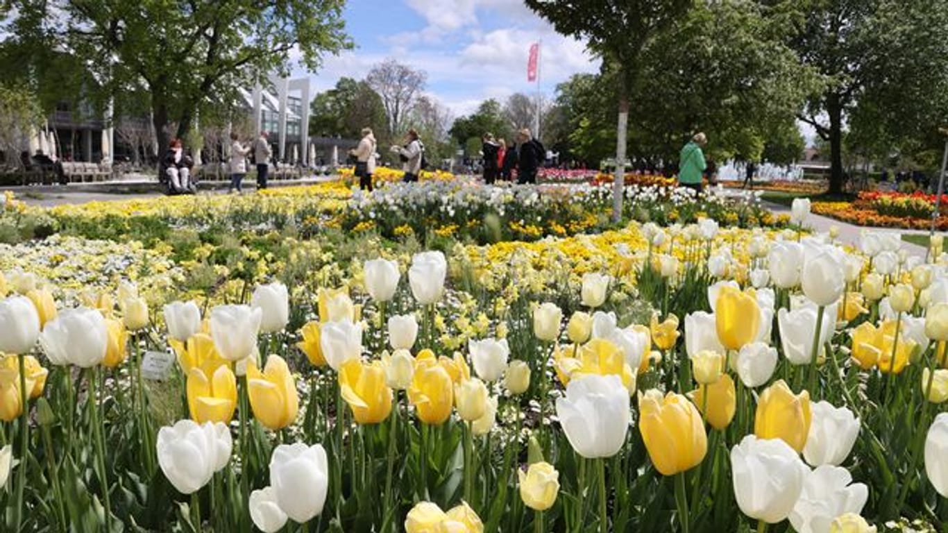 Besucher sind auf dem Gelände der Bundesgartenschau unterwegs (Archivbild): In diesem Jahr nehmen nur vier Floristen an den Landesmeisterschaften teil.