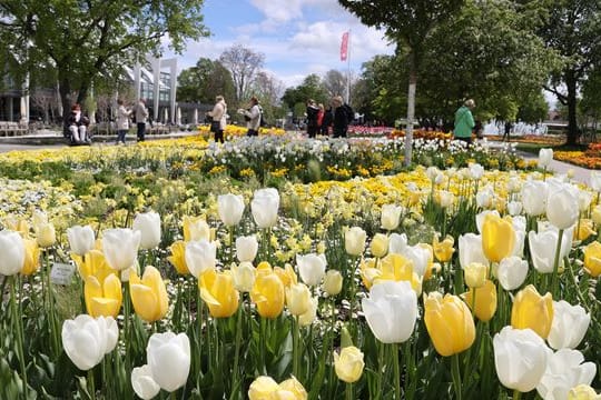 Besucher sind auf dem Gelände der Bundesgartenschau unterwegs (Archivbild): In diesem Jahr nehmen nur vier Floristen an den Landesmeisterschaften teil.