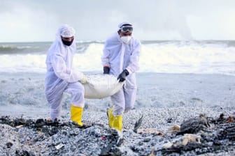 Sri Lanka: Helfer der Marine sammeln Plastikteile am Strand.
