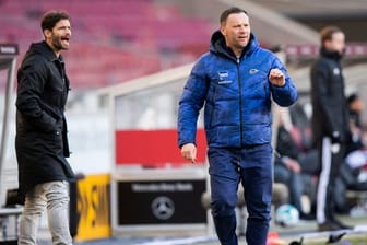 Hertha BSC setzt weiter auf Trainer Pal Dardai (r), Sportdirektor Arne Friedrich soll auch bleiben.