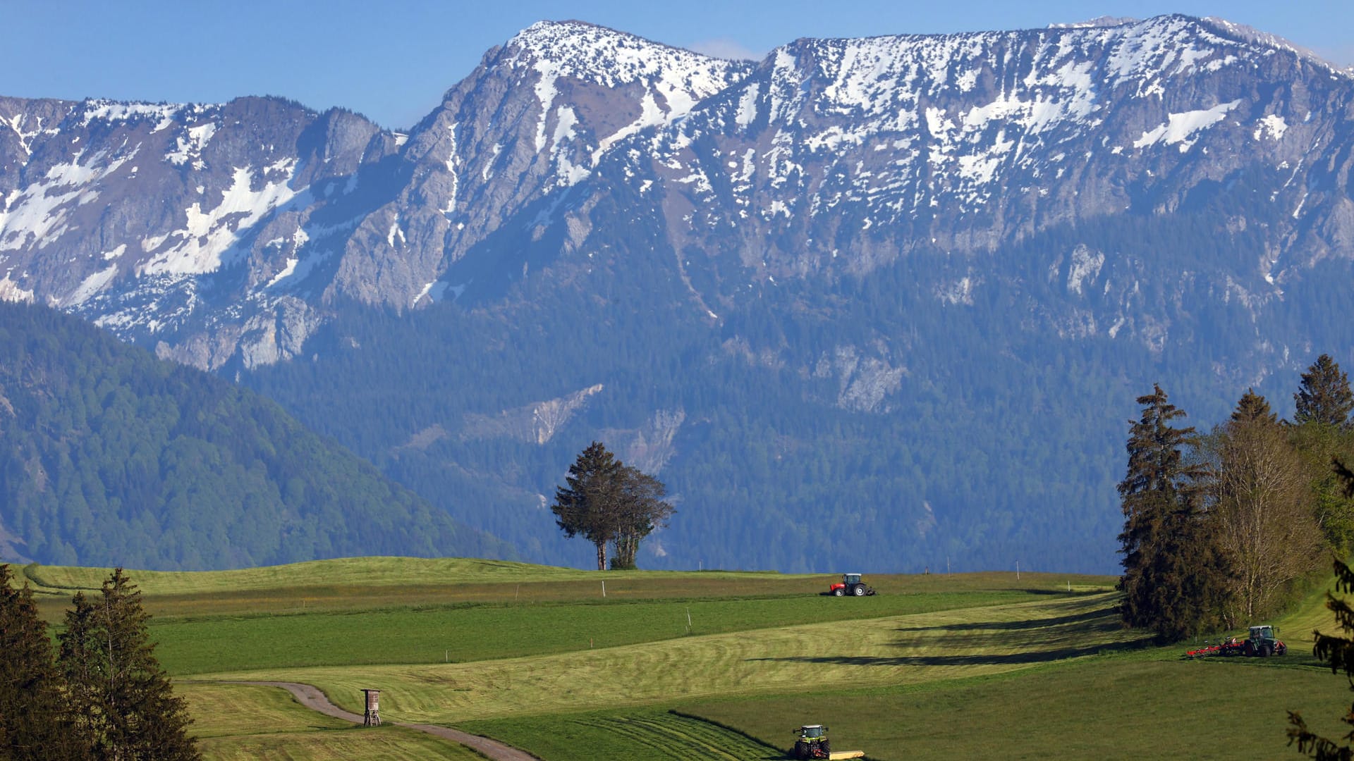 Auch der Süden zeigt sich von seiner schönen Seite: Im Allgäu hat der erste Grasschnitt begonnen.