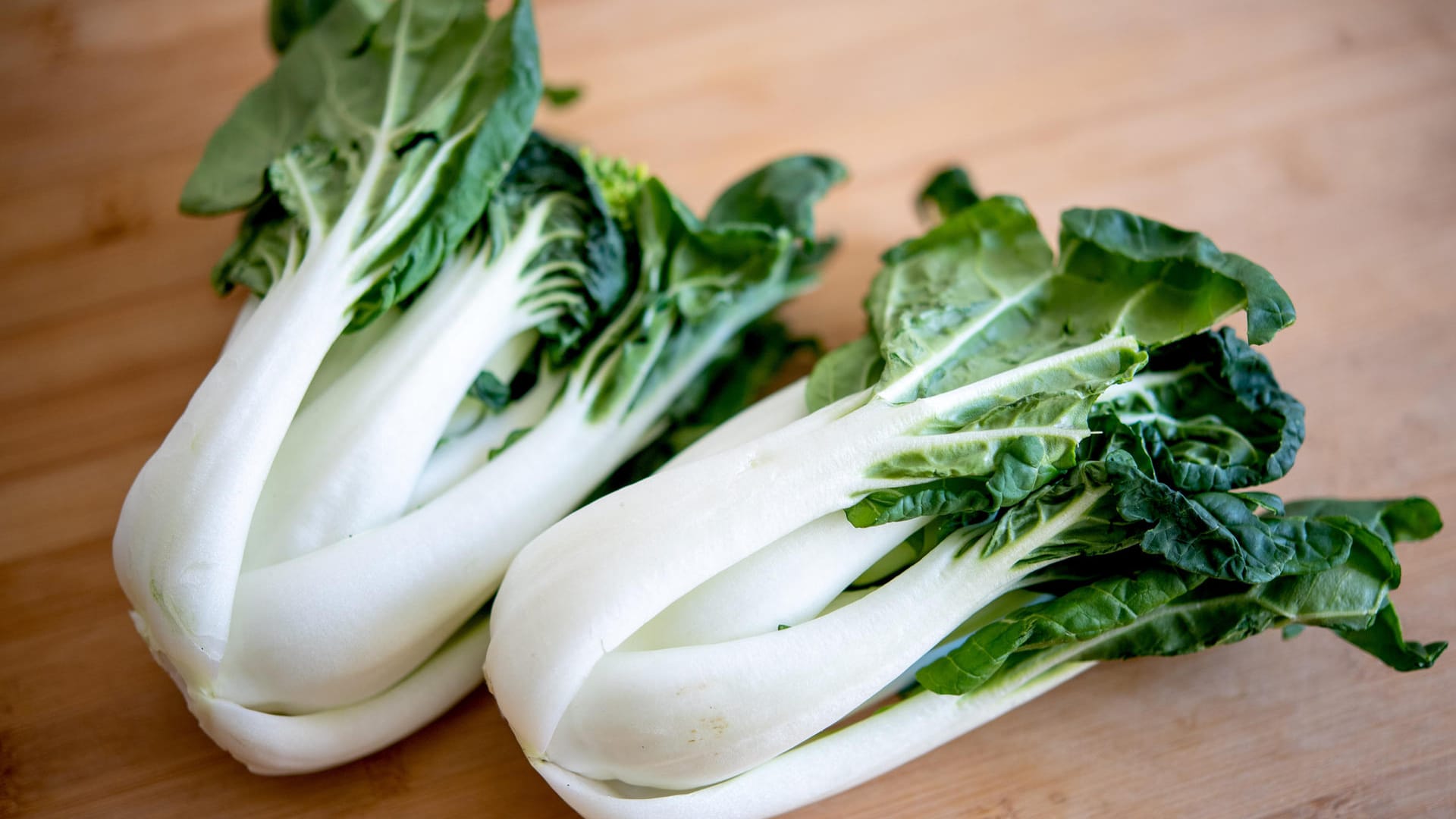 Kohlsorte: Heimischer Pak Choi hat von Mai bis November Saison.