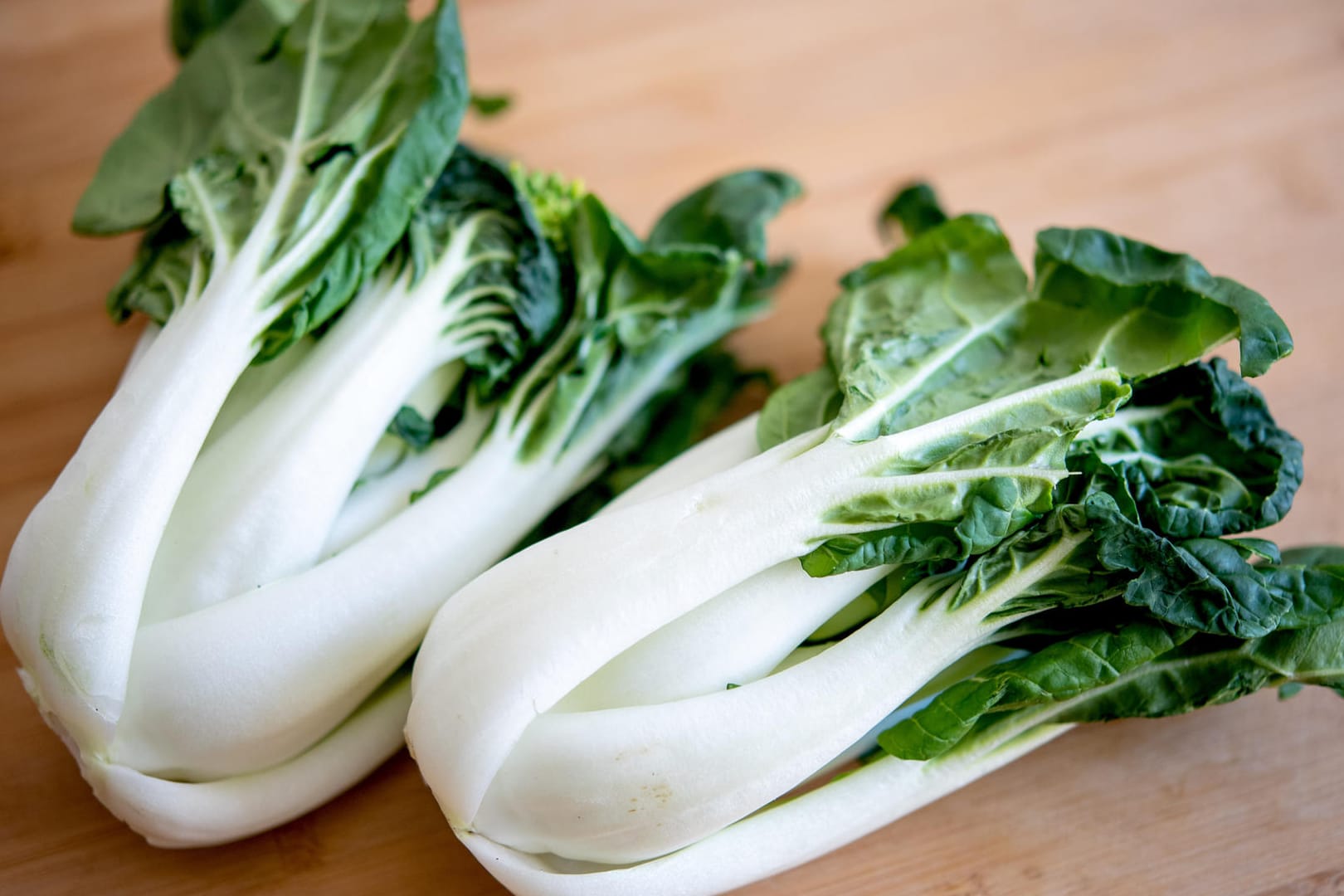 Kohlsorte: Heimischer Pak Choi hat von Mai bis November Saison.