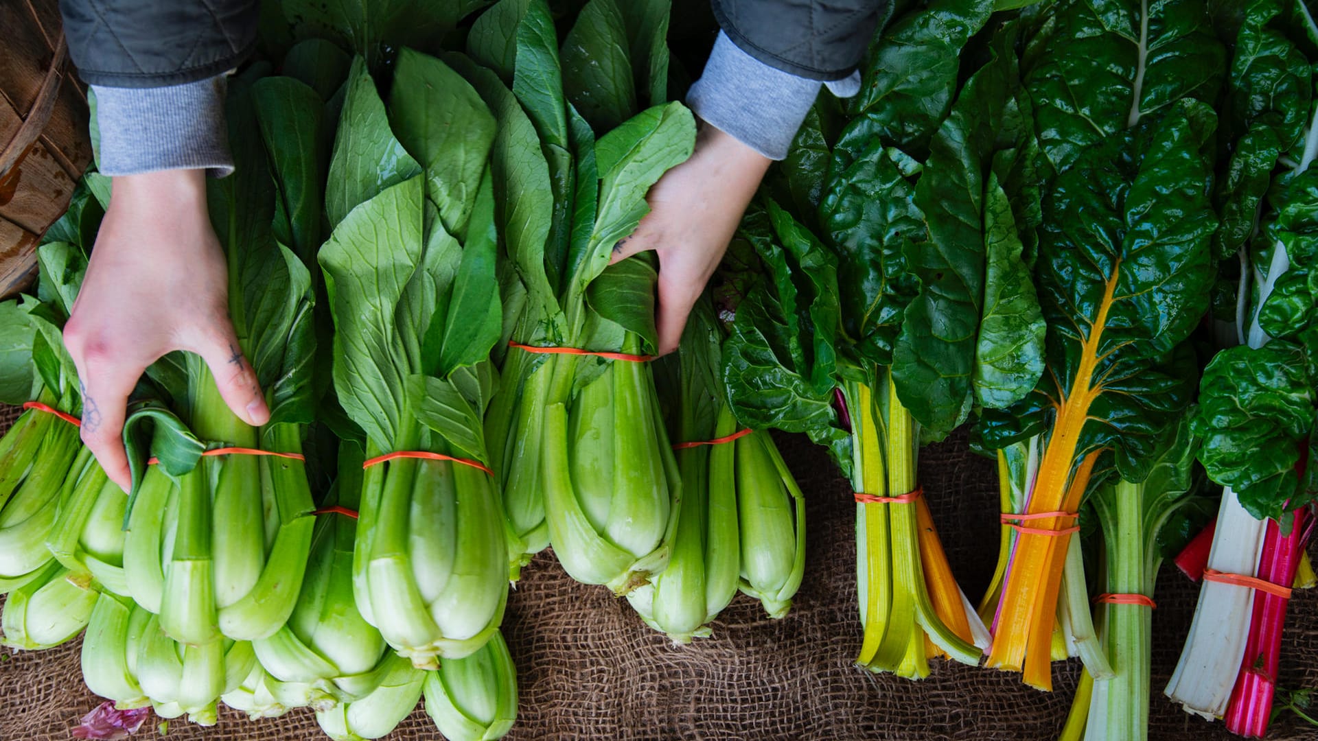 Pak Choi und Mangold: Die Struktur der Blätter ist bei diesem Gemüsesorten unterschiedlich.