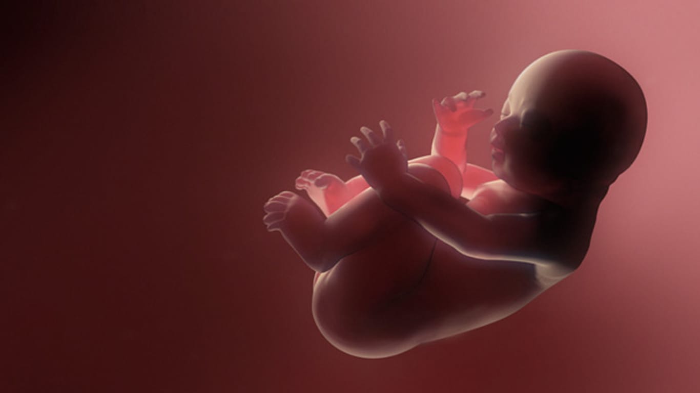 Neuer Bluttest zur Analyse des Embryo-Erbguts.
