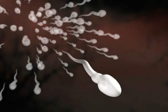 Fruchtbarkeit: Die Qualität der Spermien nimmt bei Hitzeeinwirkung ab.