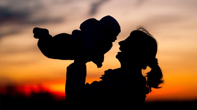 Urteil des Europäischen Gerichtshofs: Der Anspruch auf Mutterschutz gilt nur für Frauen, die ihr Kind selbst ausgetragen haben. Urteil des Europäischen Gerichtshofs: Der Anspruch auf Mutterschutz gilt nur für Frauen, die ihr Kind selbst ausgetragen haben.