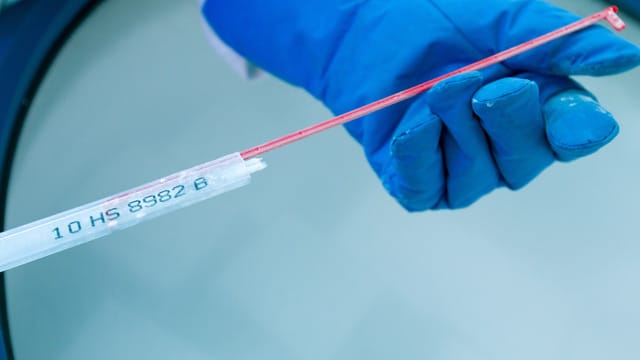 Samenspende: Spendersamen wir in einem Zentrum für Reproduktionsmedizin in flüssigem Stickstoff gelagert. Samenspende: Spendersamen wir in einem Zentrum für Reproduktionsmedizin in flüssigem Stickstoff gelagert.