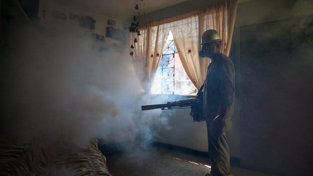 Zika ist schon in mehr als 50 Ländern nachgewiesen worden.