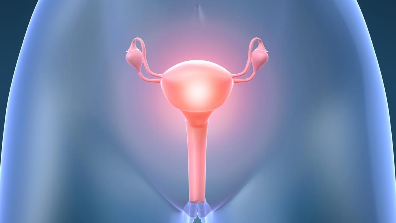 Gebärmuttertransplantation: Hoffnung für Frauen mit Kinderwunsch, die keine funktionierende Gebärmutter haben.