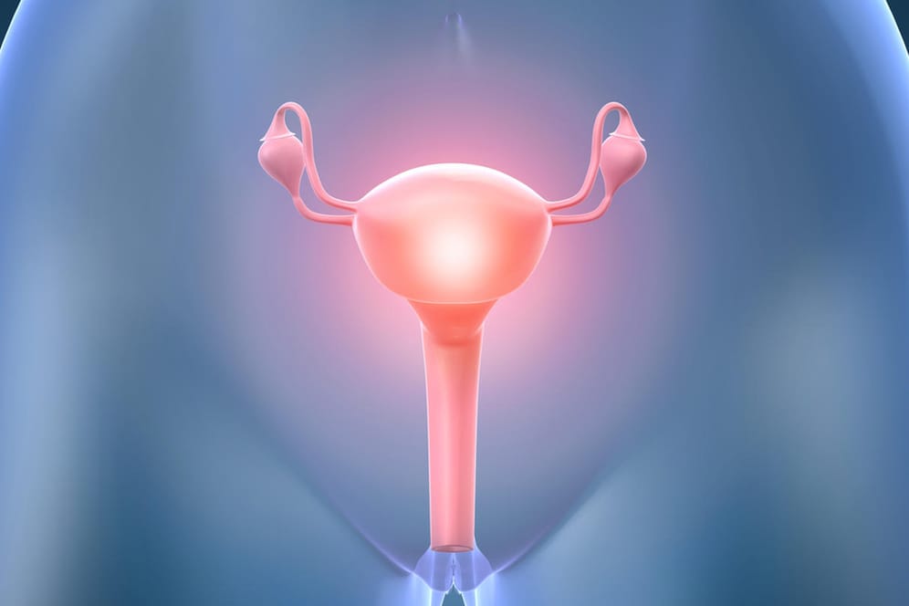 Gebärmuttertransplantation: Hoffnung für Frauen mit Kinderwunsch, die keine funktionierende Gebärmutter haben.