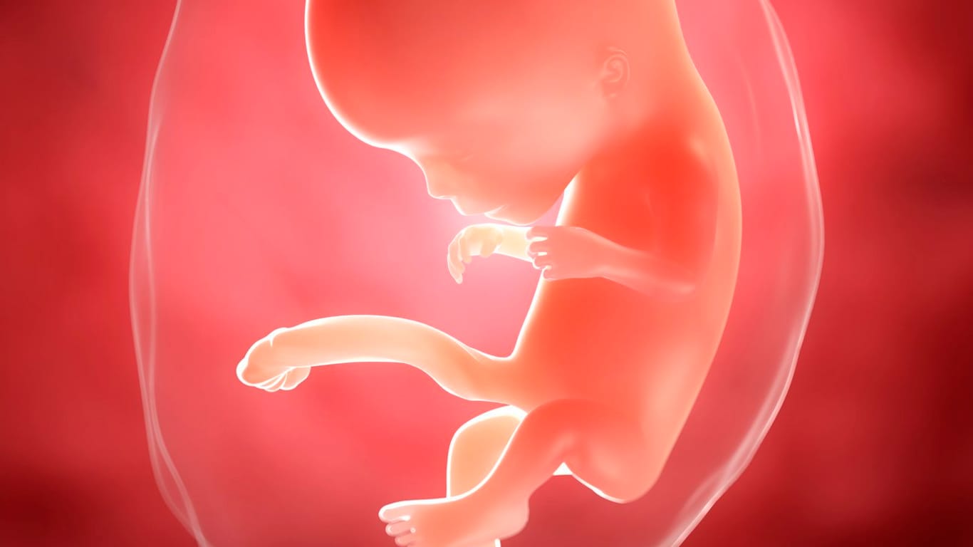 Schwangerschaftskalender: In der 11. SSW ist das Baby etwa drei Zentimeter groß.