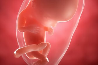 Schwangerschaftskalender: 12. SSW