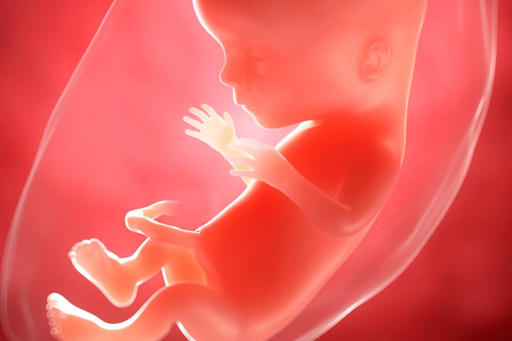 Schwangerschaftskalender: In der 15. SSW ist das Geschlecht feststellbar.