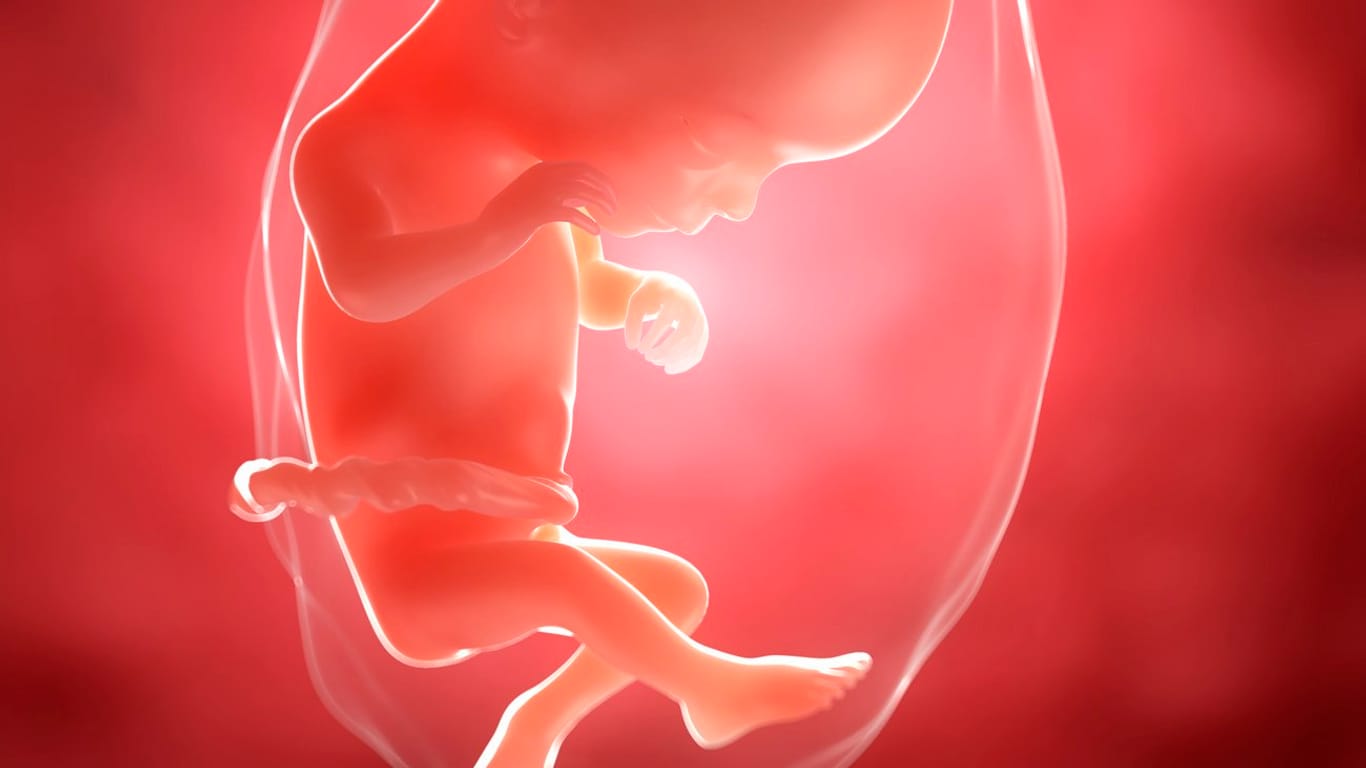 Schwangerschaftskalender: 16. SSW