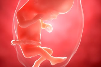 Schwangerschaftskalender: 16. SSW