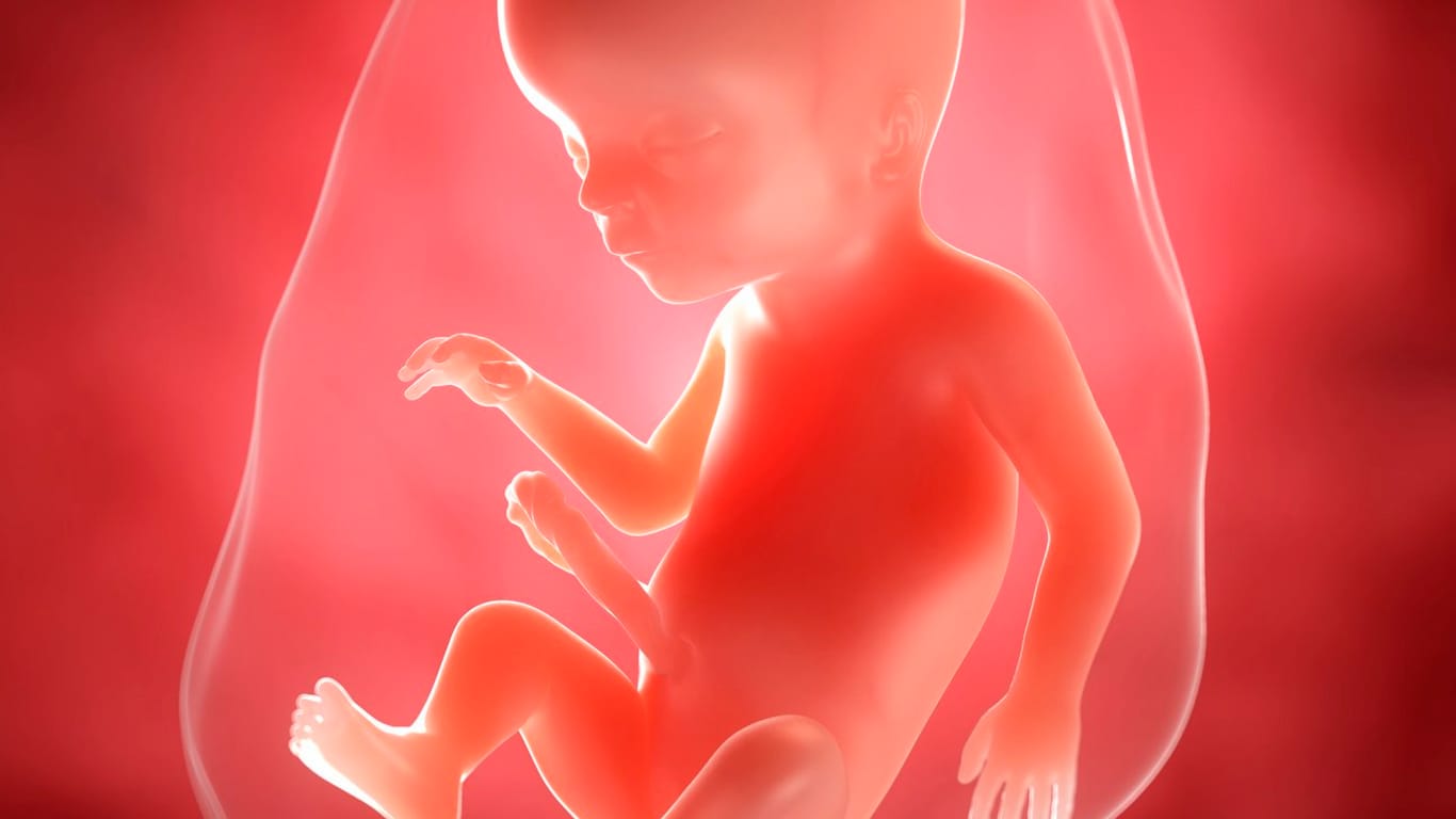 Schwangerschaftskalender: Größe und Entwicklung des Fötus in der 18. SSW