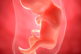 Schwangerschaftskalender: 19. SSW
