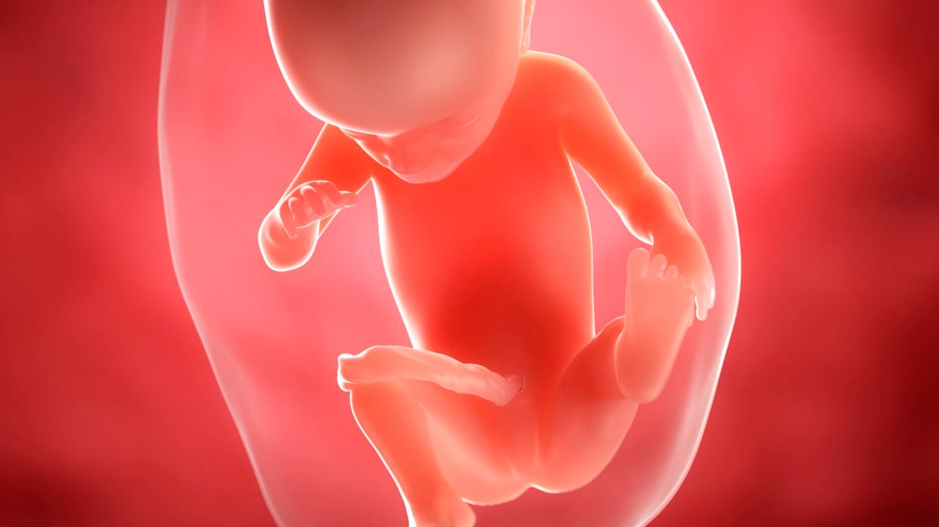 Schwangerschaftskalender: 21. SSW
