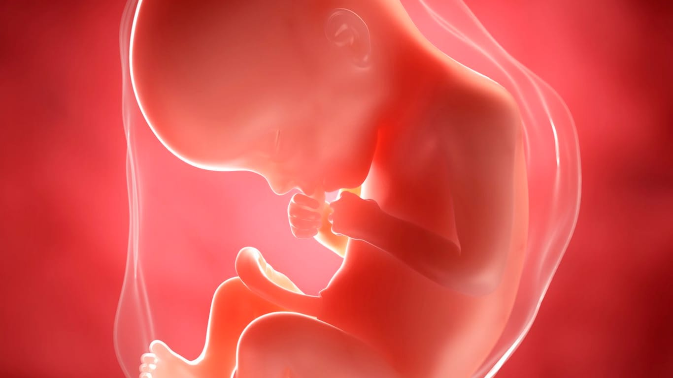 Schwangerschaftskalender: 22. SSW
