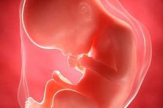 Schwangerschaftskalender: 22. SSW