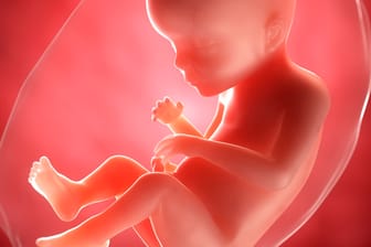 Schwangerschaftskalender: 23. SSW