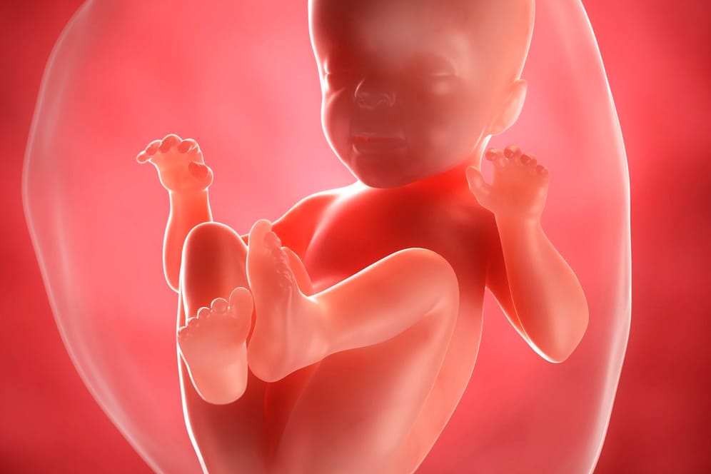 Schwangerschaftskalender: 26. SSW