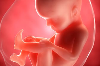 Schwangerschaftskalender: 27. SSW