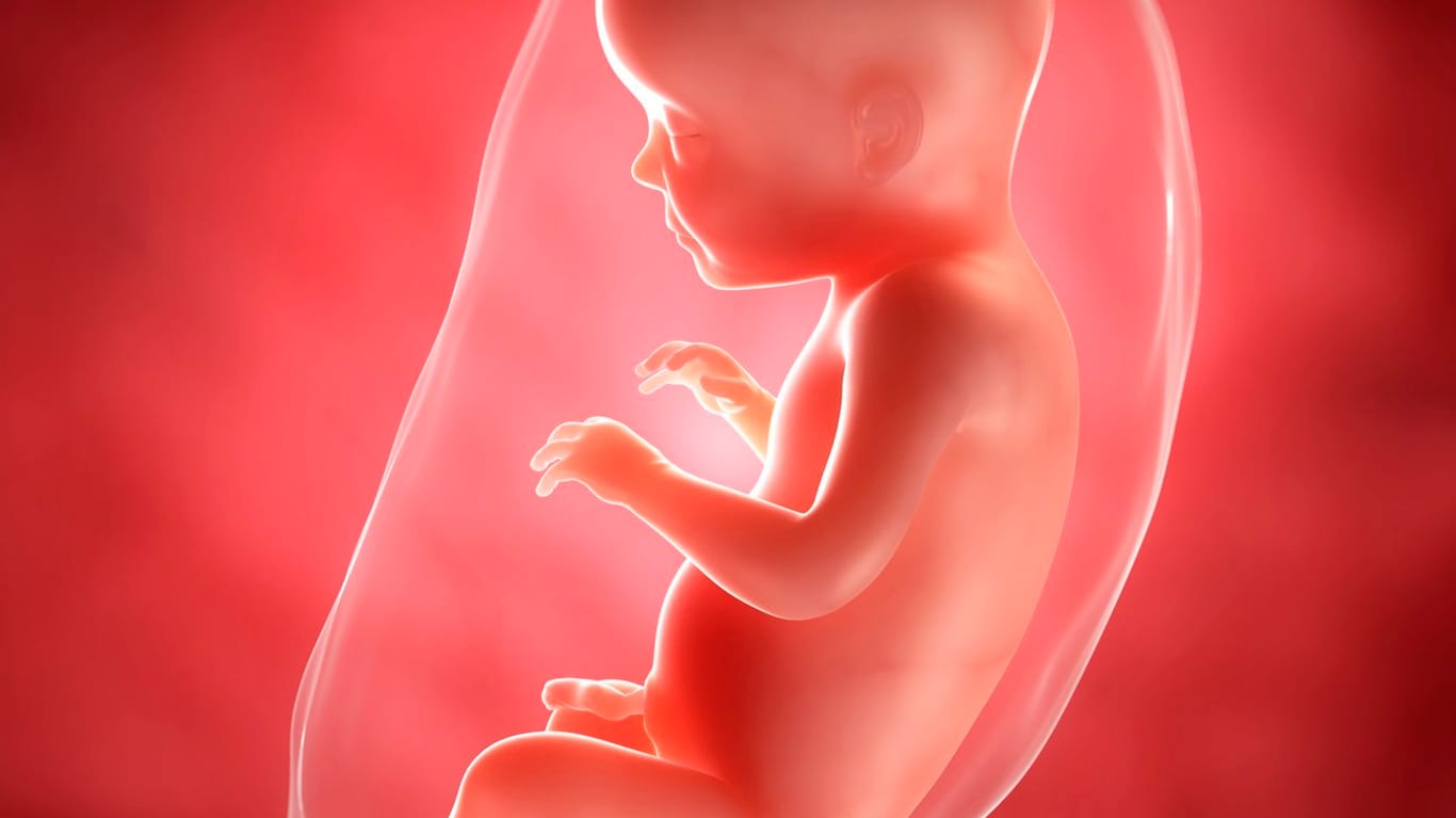 Schwangerschaftskalender: 28. SSW