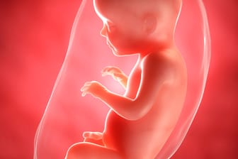 Schwangerschaftskalender: 28. SSW