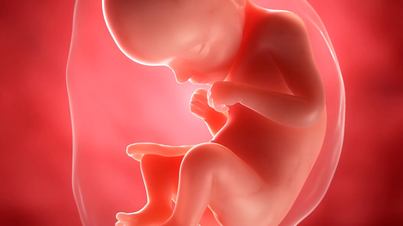 Schwangerschaftskalender: 29. SSW