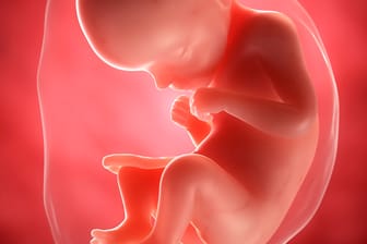Schwangerschaftskalender: 29. SSW