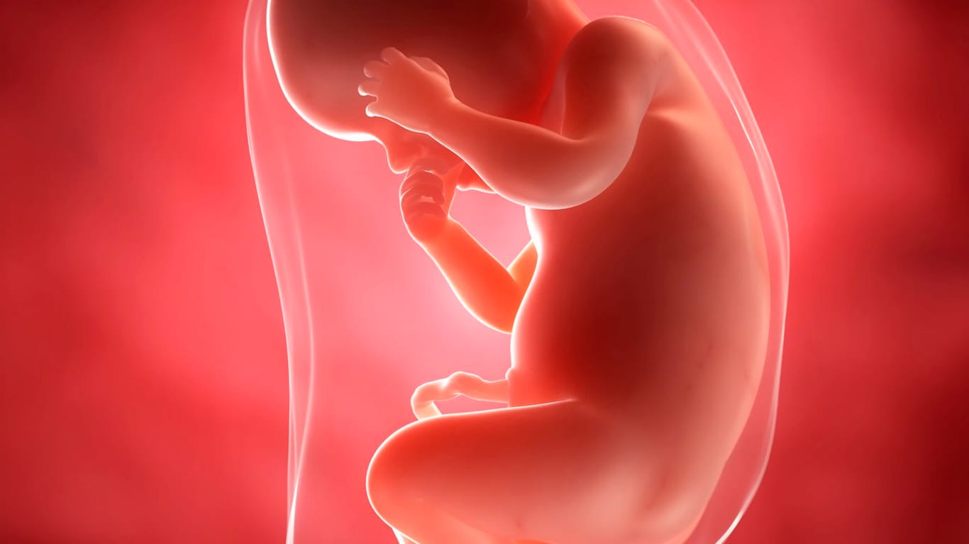 Schwangerschaftskalender: 30. SSW