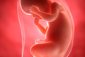 Schwangerschaftskalender: 30. SSW