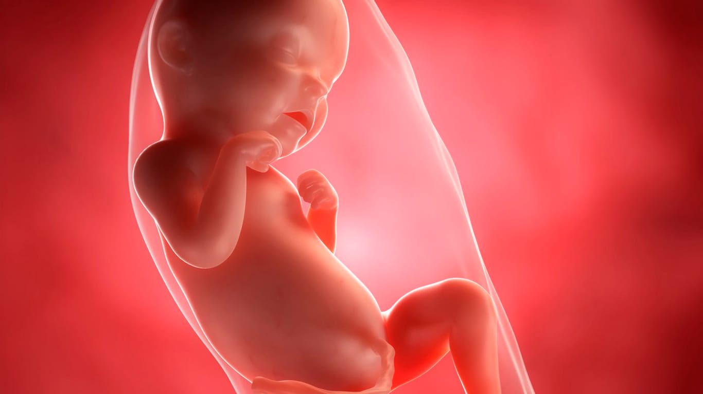 Schwangerschaftskalender: 31. SSW
